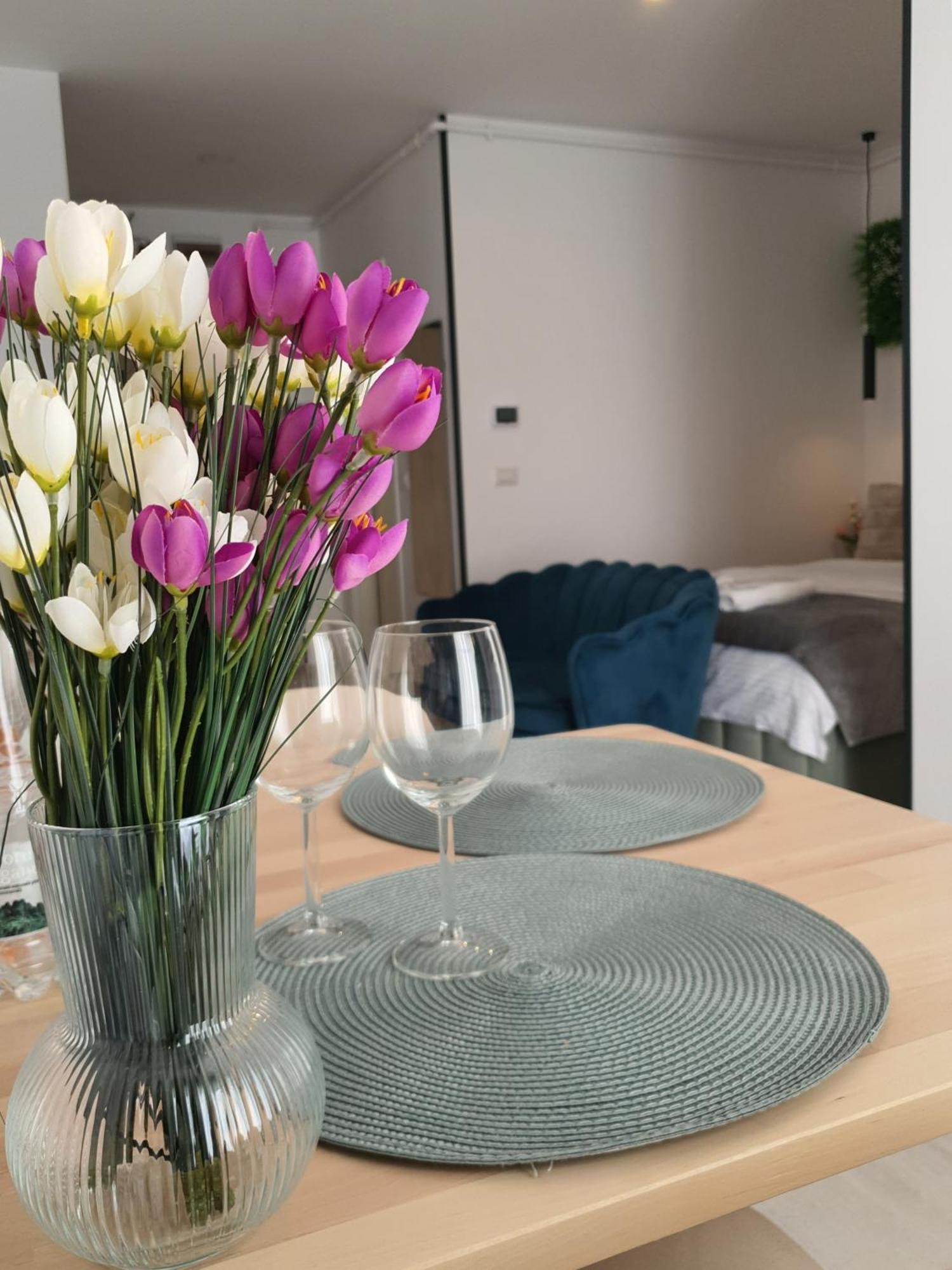Premium Hils Brauner Studio Boekarest Buitenkant foto